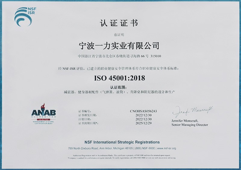 ISO 45001:2018
